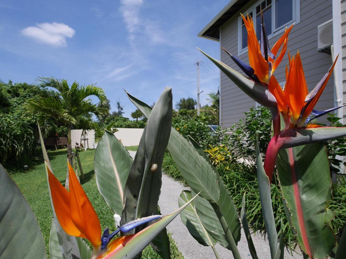 Private Vacation Villa Kohola Motobu Dış mekan fotoğraf